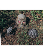 Original stock photo
