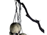 Hanging Skull Trio