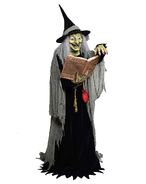 Spell Speaking Witch