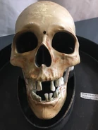 SkullCandyDishUpClose.png (401 KB) The skull up close