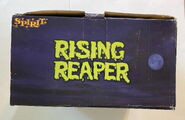 Top of box