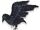 Black Crow Decoration with Wings Out