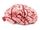 Bloody Brain