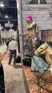 Setup in ICSC
