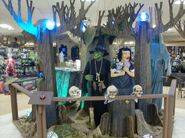 Displayed in Wicked Woods