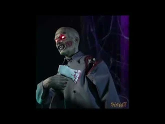 Gerry_-_Instagram_Video