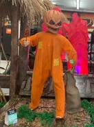 Setup in Reaper's Island Village (with unmasked head)