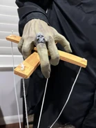 SampleMaestro20.jpeg (573 KB)