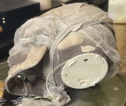 MS5.jpeg (311 KB) Bottom view