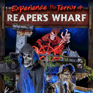The Collector Spirit Halloween Wikia Fandom The best halloween costume ideas. the collector spirit halloween wikia