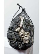Skull side
