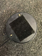 Back of button