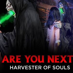 Harvester Of Souls Spirit Halloween Wikia Fandom