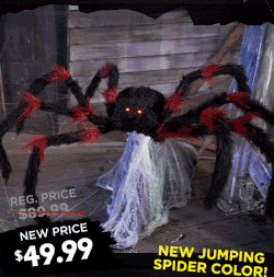 terrifying spiders gif