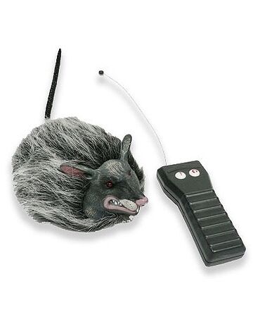 remote control rat