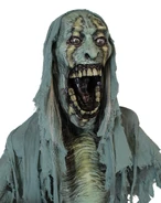 07880701-h.jpeg (519 KB)