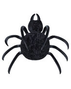 Bottom view