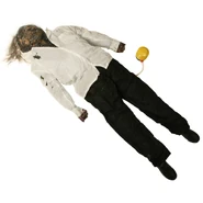 Alternate stock photo