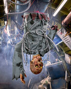 Current website photo