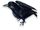 Black Crow Decoration with Wings Up
