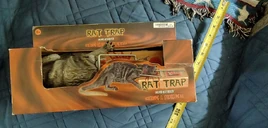 120552209 10224730178070523 6527592444388989286 o