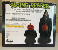 Back of box