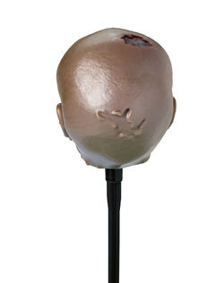 Zombie Head Pathway Markers | Spirit Halloween Wikia | Fandom