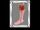Gory Leg