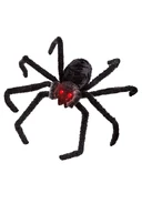 Top view (activation)