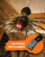 Promotional email