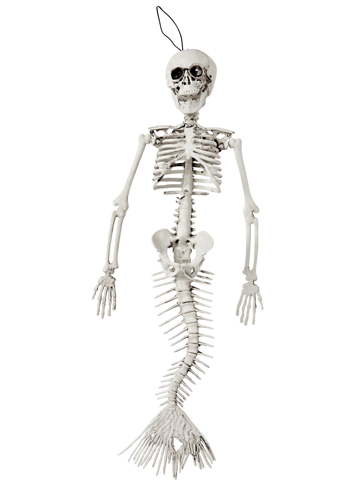 Mermaid Skeleton (2017) | Spirit Halloween Wikia | Fandom