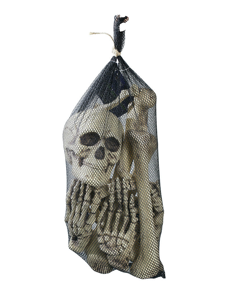 Bag of Bones 2008 Spirit Halloween Wikia Fandom