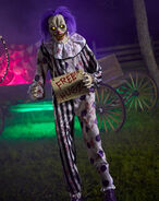 Website photo