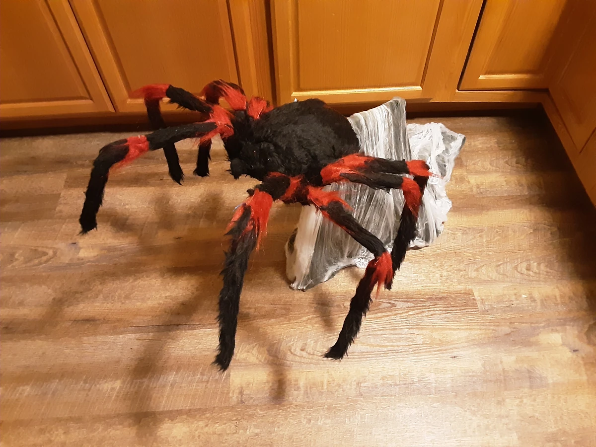 User blogBranimatronic2/Black and Red Jumping Spider Animatronic