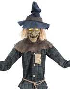 Close-up view (activation)