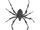 Nightmare Spider