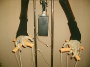 SampleMaestro5.jpg (117 KB)