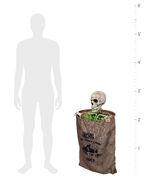 Measurement