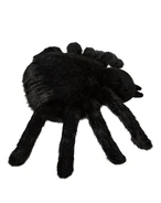 07839848-c.jpg (1.45 MB) Right side view