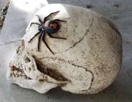 2FADFEBC-95BC-4CAD-98C5-DC5A2ECCAD50.jpeg (507 KB) Right side view