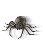Roaming Spider with Remote Control