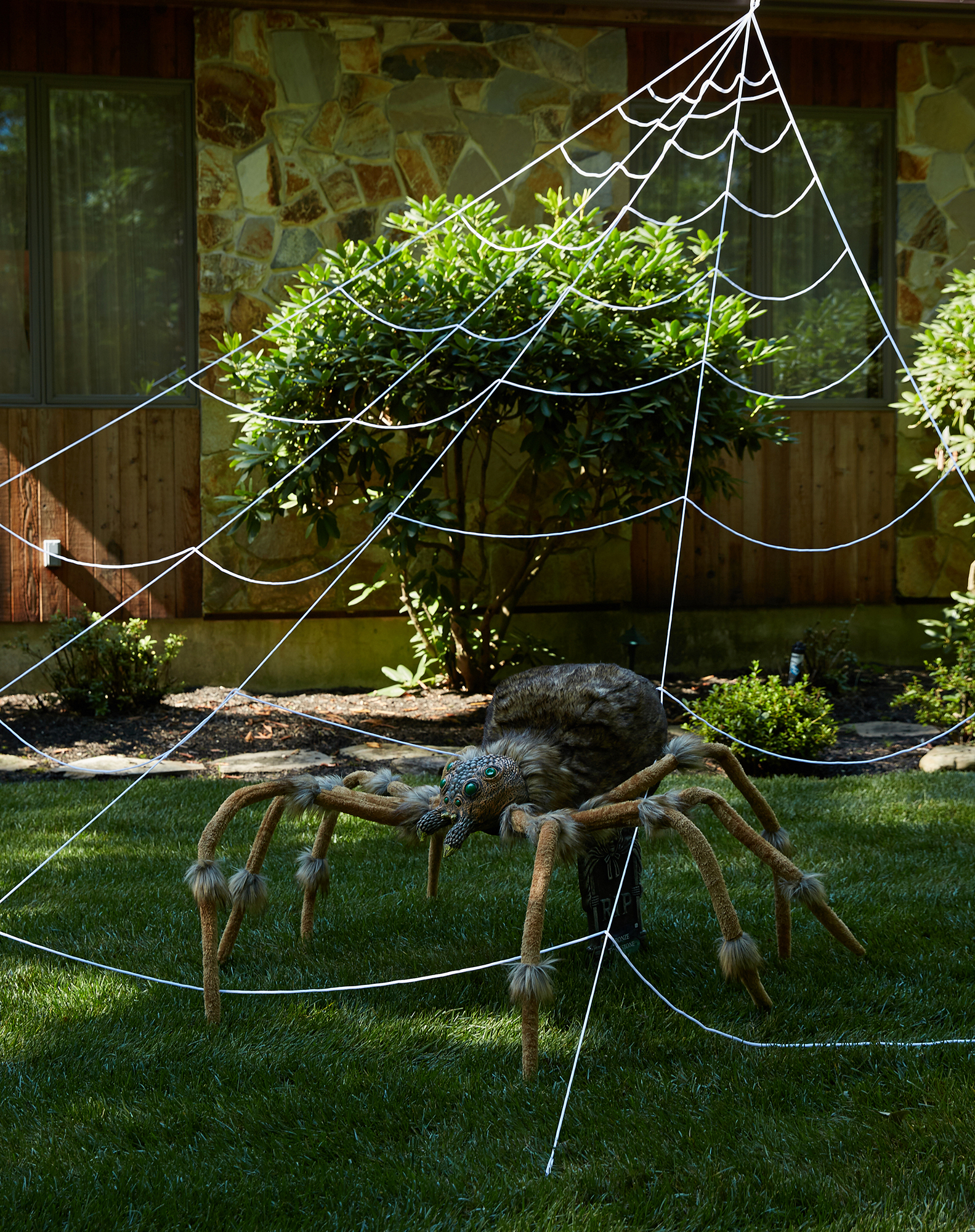 Giant Cobweb Spider Web Halloween Decoration Nylon Black Spiders Indoor  Outdoor