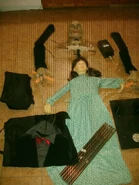 SampleMaestro7.jpg (159 KB)