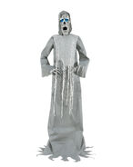Hooded Ghost