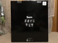 SamBoxB.jpeg (1.87 MB) Back of 2019 box