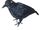 Black Crow with Folded Wings