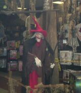 Seen in Wicked Woods