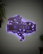Website photo