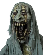 07880701-f.jpeg (514 KB)