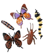 01565860-b.jpg (1.87 MB) Up close